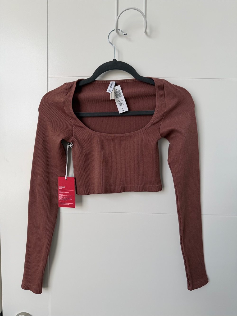 Aritzia ribbed long sleeve scoop crop top - brownish rust